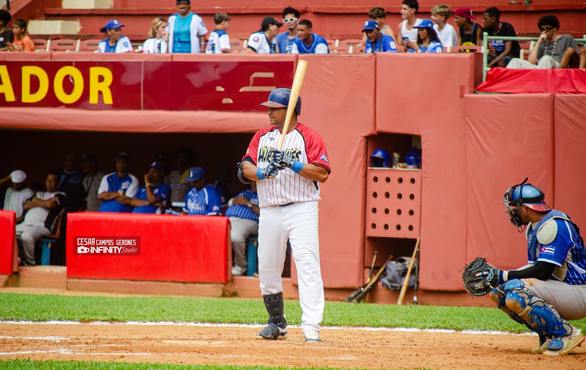 Liga Élite de Béisbol: sin movimientos en la vanguardia
