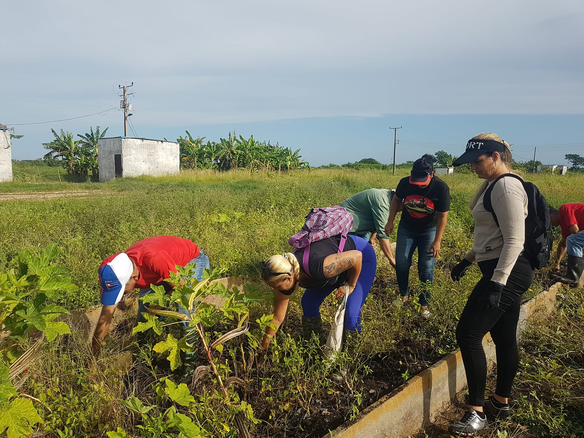 Con trabajo productivo, homenaje a Maceo y al Che en Camagüey