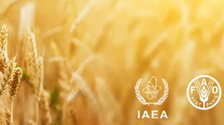 Participa Cuba en reunión sobre alimentación y agricultura de OIEA