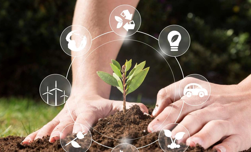 Contribuye investigación a la sostenibilidad agropecuaria en Cuba