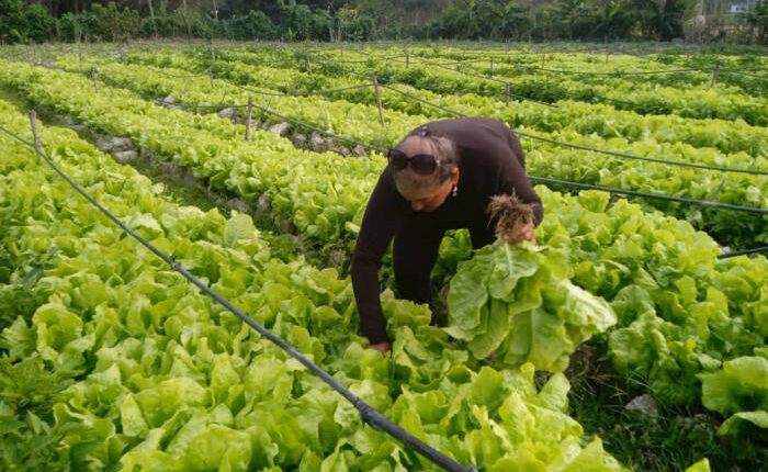 Para la recuperación agropecuaria, nuevas medidas y una futura ley