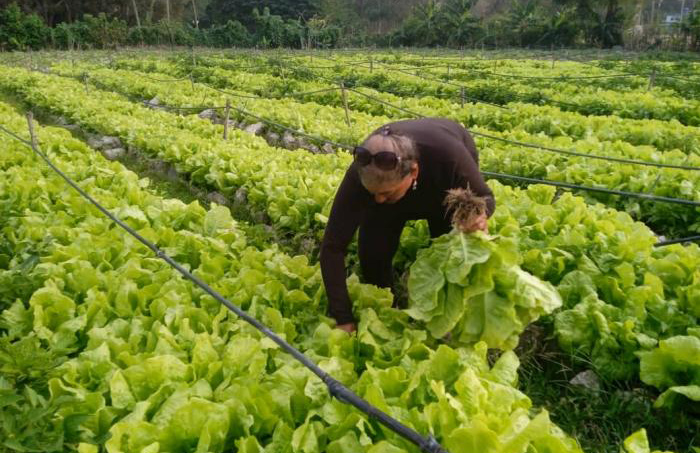 Para la recuperación agropecuaria, nuevas medidas y una futura ley